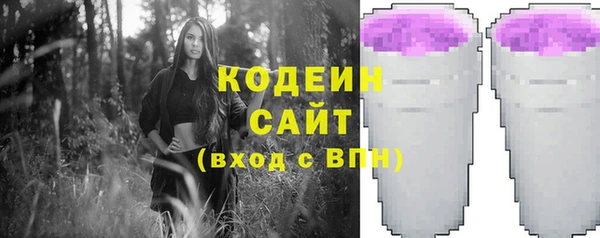 твердый Карпинск