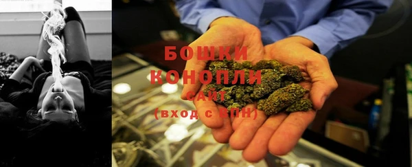 твердый Карпинск