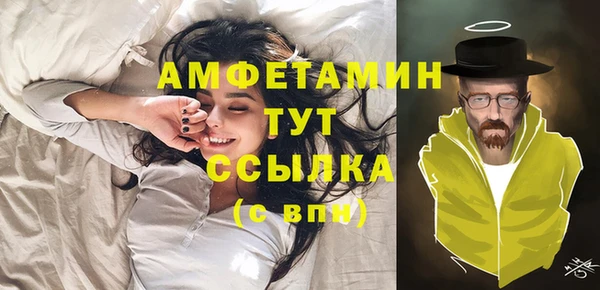 твердый Карпинск