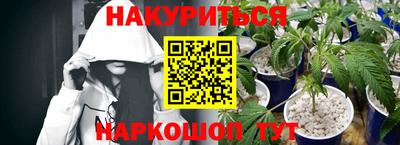 a pvp Гай
