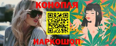 Альфа ПВП Гатчина