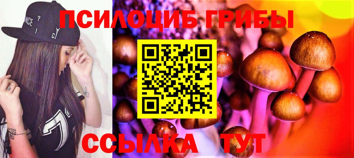 Галлюциногенные грибы GOLDEN TEACHER Димитровград