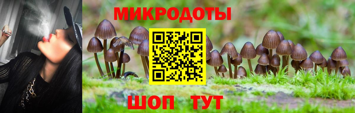 Галлюциногенные грибы ЛСД Димитровград